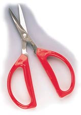 Little kitchen scissors, herb snips